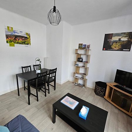 Le Nid Des Cigognes A Colmar Centre, Proche Gare, Marches De Noel Apartment Luaran gambar
