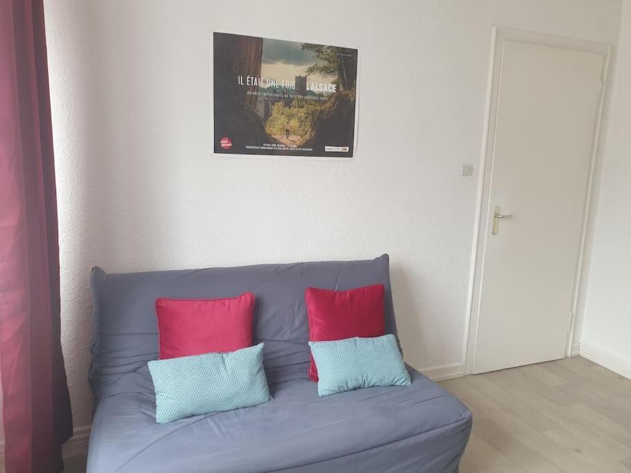 Le Nid Des Cigognes A Colmar Centre, Proche Gare, Marches De Noel Apartment Luaran gambar