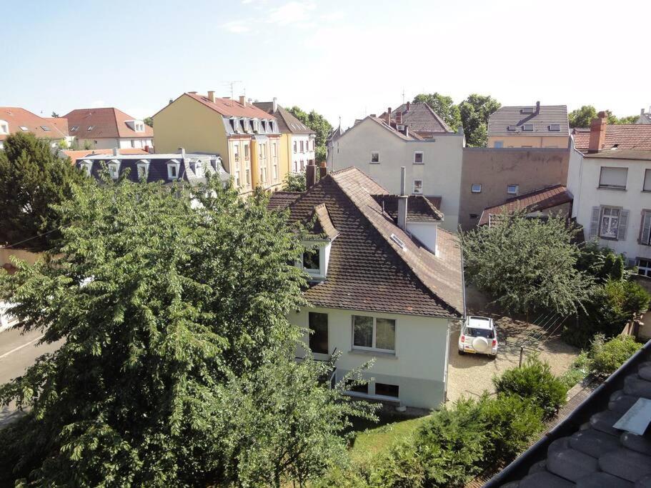 Le Nid Des Cigognes A Colmar Centre, Proche Gare, Marches De Noel Apartment Luaran gambar
